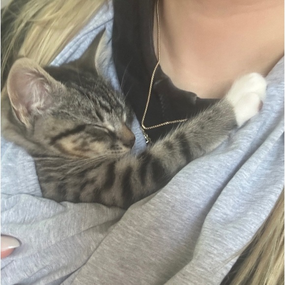 Meet your Posher, Maitlyn - Picture 11 of 13